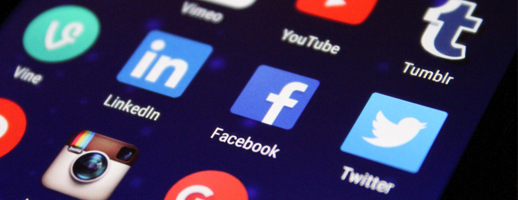 Drive Traffic to Your Website Using SEO and Social Media Optimization